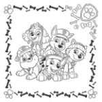 Obrázok z Pexeso v zošite Labková patrola